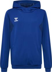 Hummel HMLAUTHENTIC PL HOODIE KIDS Kapucnis melegítő felsők 219977-7045 Méret 128 219977-7045