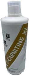 DY Nutrition Liquid L-Carnitine XL, Pineapple - 1000 ml