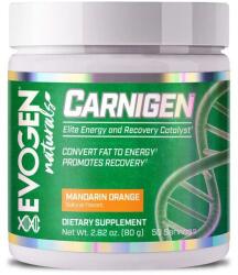 Evogen Nutrition Carnigen Naturals, Mandarin Orange - 80 grams