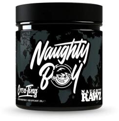 Naughty Boy Crea-Ting - 306 grams
