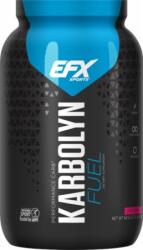 EFX Sports EFX Karbolyn, Fruit Punch - 1950 grams