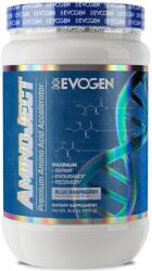 Evogen Nutrition AminoJect, Watermelon - 472 grams