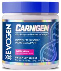 Evogen Nutrition Carnigen Powder, Watermelon - 70 grams