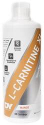 DY Nutrition Liquid L-Carnitine XL, Mango - 1000 ml