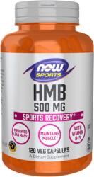 NOW NOW HMB, 500mg - 120 vcaps