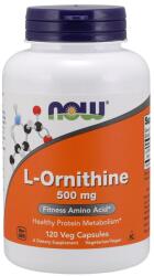 NOW NOW L-Ornithine, 500mg - 120 vcaps