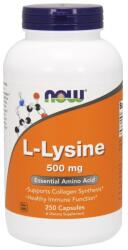 NOW NOW L-Lysine, 500mg - 250 vcaps