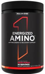 Rule 1 Energized Amino, Fruit Punch - 270 grams