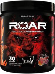 Rule One Roar, Fruit Punch - 315 grams