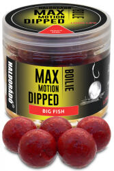 Haldorádó Max Motion Boilie Dipped Nagy Hal 100gr 20mm Bojli (HD28892)