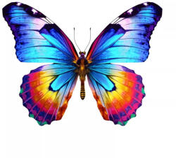 Fa puzzle 200 db-os színes A3 méretű - Lepke