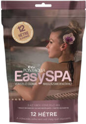 Pontaqua easySPA jakuzzi vízkezelő csom