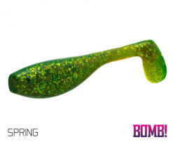 Delphin Shad Delphin BOMB Fatty, Spring, 10cm, 5 buc (690011005)