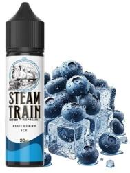 Steam Train - Blueberry Ice 20ml/60ml