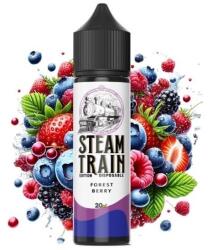 Steam Train - Forest Berry 20ml/60ml