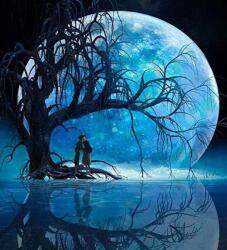 NORIMPEX - Puzzle Pictura cu diamant: Luna peste lac 30x40 cm - 1 - 39 piese