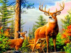 NORIMPEX - Puzzle Pictura cu diamant: Cerb la munte 30x40 cm - 1 - 39 piese