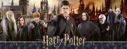 Nathan - Puzzle Harry Potter - Panorama războiului vrăjitorului - 1 000 piese Puzzle