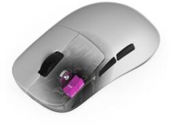Endgame Gear OP1 (EGG-SP-HN150-6070) Mouse