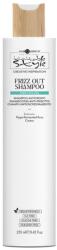 Hair Company Professional Hair Company Inimitable Style Creative Inspiration Twist N'Curl Frizz Out Shampoo 250 ml