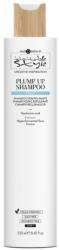 Hair Company Professional Hair Company Inimitable Style Creative Inspiration Filler Plump Up Shampoo 250 ml
