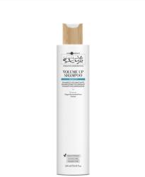 Hair Company Professional Hair Company Inimitable Style Creative Inspiration Density³ Volume Up Shampoo 250 ml