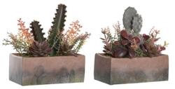ITEM Selyemvirág kaktusz polipropilén, hab 19x9x22 cm narancssárga, pink 2 féle, 1db (JA-204480)