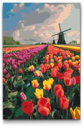  Festés számok szerint - Szélmalmok a tulipánmezőn Méret: 40x60cm, Keretezés: Keret nélkül (csak a vászon)