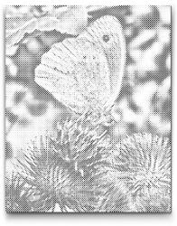 PontPöttyöző - Virágon ülő pillangó Méret: 30x40cm, Keretezés: Keret nélkül (csak a vászon), Szín: Zöld
