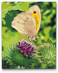  Festés számok szerint - Virágon ülő pillangó Méret: 40x50cm, Keretezés: Keret nélkül (csak a vászon)