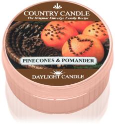 The Country Candle Company Pinecone & Pomander teamécses 42 g