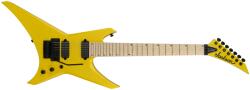 Jackson Pro Dave Davidson Warrior WR7 EB FRY