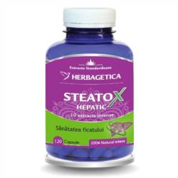 Herbagetica Steatox Hepatic, 120 capsule, Herbagetica