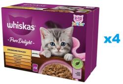 Whiskas Junior tasak 48x85g Baromfi zselés fánkok nedves eledel kiscicáknak zselében: csirke, pulyka, baromfi, kacsa