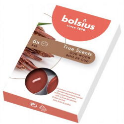Bolsius 6 бр. чаени свещи Bolsius със сладък дървесен аромат (TRU-PB15-70-OUD-TS)