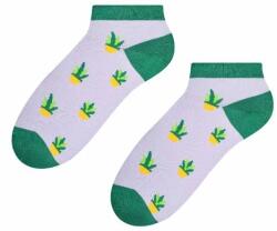 Steven Sosete scurte dama cu model - Steven S042-124C gri deschis-verde (Culoare: Gri, Marime: 38-40) (24734)