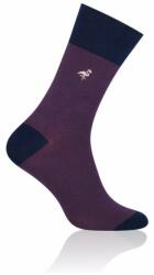 MORE Sosete bumbac barbati, model Striped - More S051B004 mov (Culoare: Mov, Marime: 43-46) (14878)