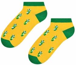 Steven Sosete scurte dama cu model - Steven S042-118C galben-verde (Culoare: Galben, Marime: 38-40) (24728)
