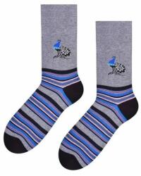 Steven Sosete barbati, colectia Folk - Steven S056-C083 gri detaliu blue (Culoare: Gri, Marime: 45-47) (24233)