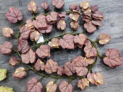  Ghirlanda frunze artificiale pentru aranjamente florale set 6 buc (8477)