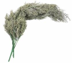  Crenguta asparagus artificiala pentru aranjamente florale (3750)