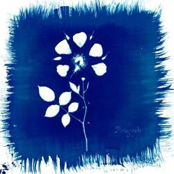 Painted Zeros Floriography - facethemusic - 15 590 Ft