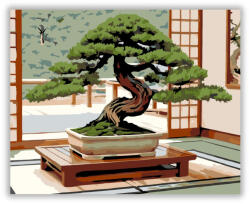 Juniper Bonsai a Tatami Szobában - számfestő készlet