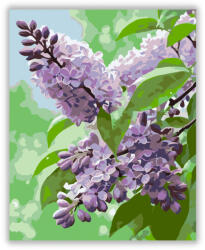  Harmatcseppes Lila Orgona - számfestő készlet