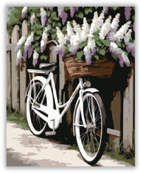  Orgonás Bicikli - számfestő készlet