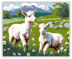 Báránykák Napfényes Réten - számfestő készlet