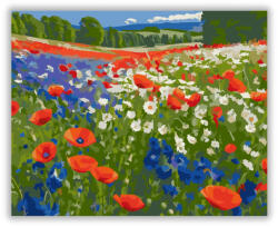  Pipacsmező Kék és Fehér Vadvirágokkal - számfestő készlet