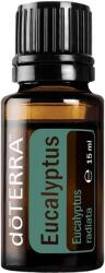 dōTERRA Eukaliptusz illóolaj 15 ml