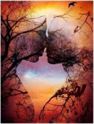 NORIMPEX - Puzzle Pictura cu diamant: Dragoste veche 30x40 cm - 1 - 39 piese