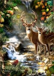 NORIMPEX - Puzzle Pictură cu diamant: Căprioară și căprioară lângă un pârâu de pădure 30x40 cm - 1 - 39 piese